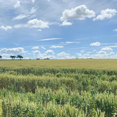 Campsite La Dolce Ransdaal