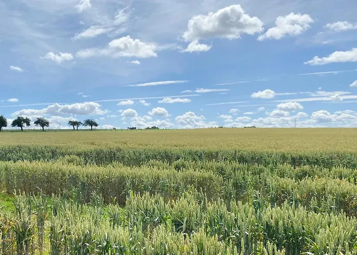 Kemp La Dolce Ransdaal