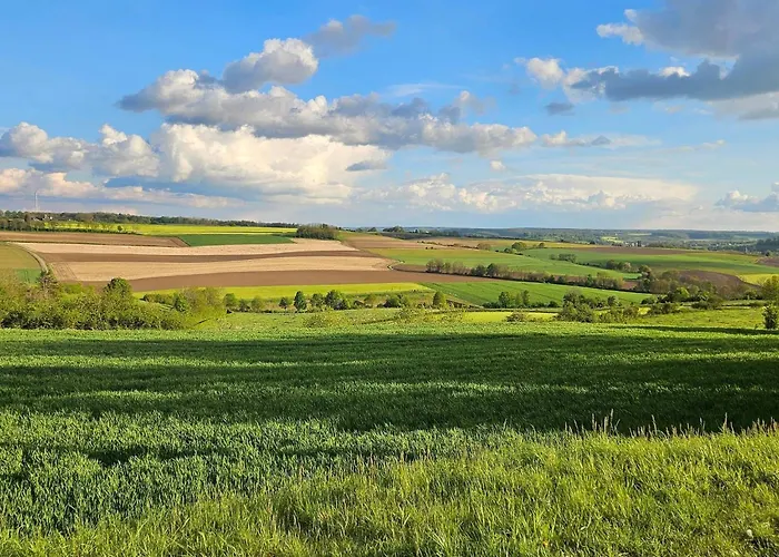 La Dolce キャンプ場 *